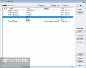 WindowManager-2024-Direct-Link-Free-Download-GetintoPC.com_.jpg 