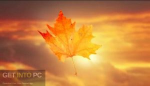 Motion-Array-Autumn-Leaves-AEP-Free-Download-GetintoPC.com_.jpg 