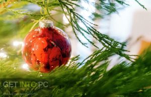 VideoHive-Christmas-and-New-Year-frame-with-holiday-ornaments-MOV-Direct-Link-Free-Download-GetintoPC.com_.jpg 